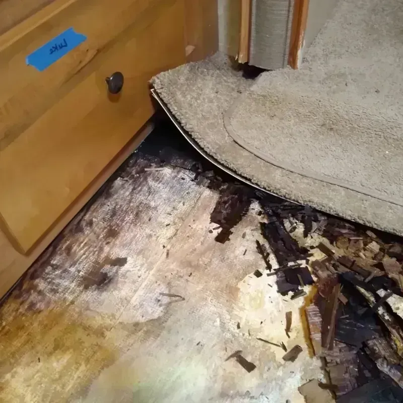 Best Wood Floor Water Damage Service in Edina, MN